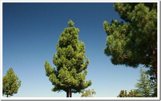 consultoria-medioambiental