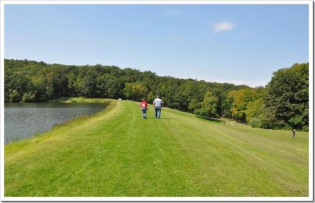 legislacion-ambiental