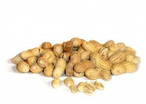 Guía para la Gestión de Alérgenos en las industrias Alimentarias