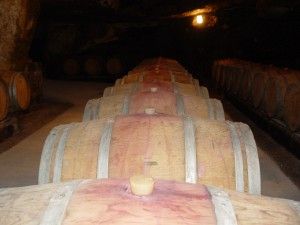 Calidad y Seguridad Alimentaria