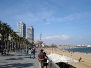 Sistema de Gestión de la Sostenibilidad de Eventos