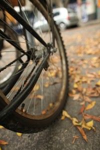 Sistema de Gestión de la Calidad