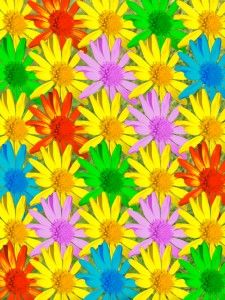 Nueva versión ISO 9001