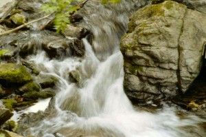 Sistema de Gestión del Medio Ambiente