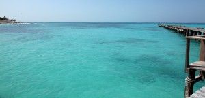 Gestión Medioambiental