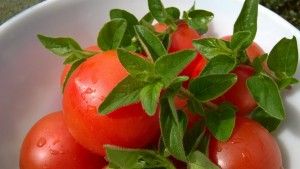 Seguridad Alimentaria