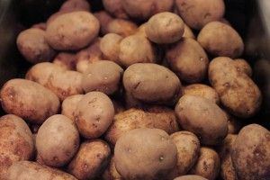 Seguridad Alimentaria