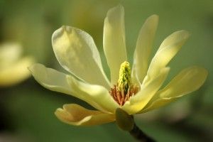 Quejas y Reclamaciones